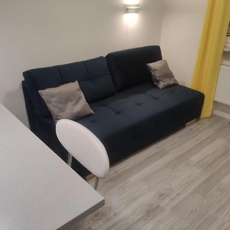 Comfortable Studio Only 20 Minutes From International Conference Center Katowice Best Place For Wuf2022 Eec Tnf Off Etc Siemianowice Slaskie Ngoại thất bức ảnh