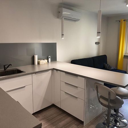 Comfortable Studio Only 20 Minutes From International Conference Center Katowice Best Place For Wuf2022 Eec Tnf Off Etc Siemianowice Slaskie Ngoại thất bức ảnh