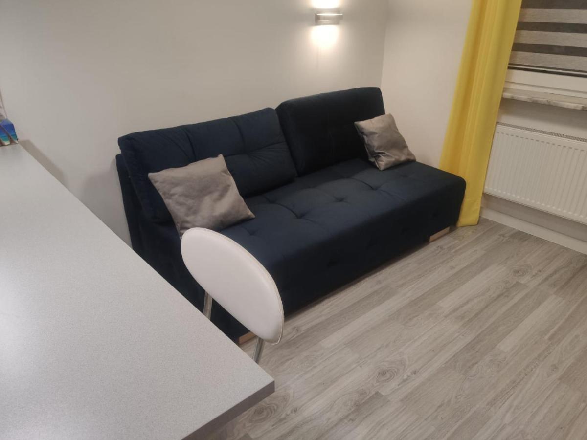 Comfortable Studio Only 20 Minutes From International Conference Center Katowice Best Place For Wuf2022 Eec Tnf Off Etc Siemianowice Slaskie Ngoại thất bức ảnh
